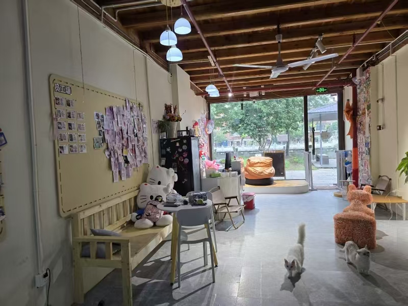 好运转（603）海宁长安西街旺铺2万急转